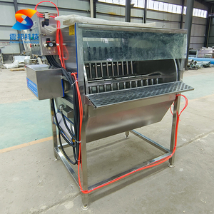 ZB 500Bph küçük kapasiteli kazlar türkiye tavuk ördek kaz saç haşlanma yolma makinesi - Product Image 3