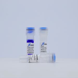 Endonucleasa de restricción Tinzyme AscI 50l/vial 99% de pureza para digestión enzimática rápida de ADN plasmídico, productos de PCR y ADN genómico - Product Image 3