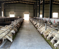 Hangar d'élevage d'animaux en acier préfabriqué à faible coût toit isolé chèvre mouton hangar vache maison agricole