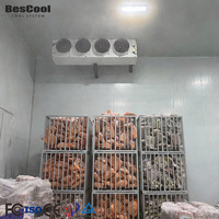 Chambre froide mobile sur mesure pour la viande, les restaurants, les supermarchés, les abattoirs, usage commercial