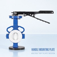 Vanne papillon DN50 à commande par levier, poignée manuelle à quart de tour pour le contrôle des conduites d'eau industrielles