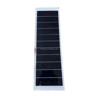Technique avancée N IBC Cellule solaire Noir Blanc Couleur 188*485mm 18W 6.6V Mono Double Verre Panneau solaire Bandes de longueur 24.5%