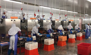 เครื่องทำความสะอาด<span class=keywords><strong>สาย</strong></span>การผลิตกุ้งแดงแบบอัตโนมัติของอาร์เจนติน่า - Product Image 4