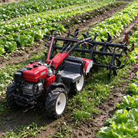 Mini motoculteur rotatif autoporté, cultivateur diesel/essence, machine de désherbage pour l'agriculture sur terres arides