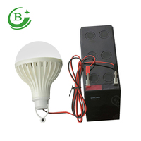 Ampoule LED 5W basse tension DC 12V pour marché nocturne en gros avec clip de câble de 1m