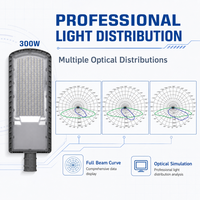 Luminaire LED routier de qualité professionnelle pour entrepreneurs municipaux, 300W, pour autoroute et terminal logistique