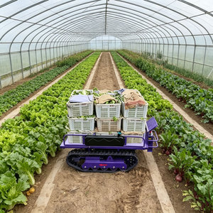 Mini Transportador de Control Remoto sobre Orugas para el Transporte de Cultivos en Huertos, Invernaderos y Vegetales - Product Image 4
