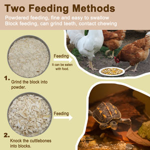 Vente chaude os de seiche cassé meilleur prix taille personnalisée os de seiche calcium vitamine D3 essentiel soin des oiseaux - Product Image 5