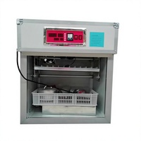 Incubateur automatique complet pour l'éclosion des poussins, machine à couver, garantie 1 an, 220V, pour usage agricole, canards, cailles, volailles