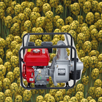 Pompe à eau à essence pour petite machinerie agricole 2 pouces 3 pouces 4 pouces
