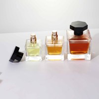 Flacon de parfum vintage unique 30ml, flacon de parfum 50ml, 100ml, flacon de parfum vide, flacon de parfum avec atomiseur pressurisé