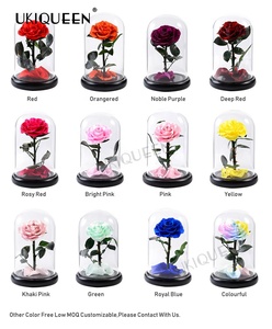 Rose de noël éternelle sous dôme de verre comme la <span class=keywords><strong>belle</strong></span> <span class=keywords><strong>et</strong></span> la <span class=keywords><strong>bête</strong></span>, fleur romantique, pour la saint-valentin, pour un cadeau de noël - Product Image 2