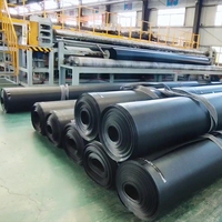 Geomembrana de HDPE, LDPE, LLDPE para Estanques de Diseño Industrial de 0.3mm, 0.35mm, 0.5mm, 0.75mm, 0.8mm, 1.0mm, 1.2mm, 1.5mm, 2mm, 2.5mm