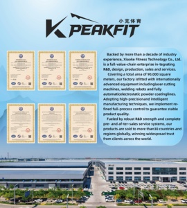 Machine à presser les <span class=keywords><strong>pectoraux</strong></span> personnalisable Shandong Lanbo à charge libre pour la musculation, équipement professionnel pour clubs - Product Image 6