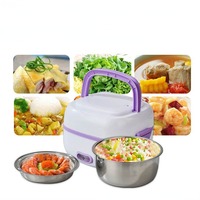 Kotak makan siang elektrik lapisan ganda, wadah makanan penghangat baja anti karat MINI multifungsi