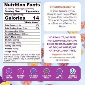 Горячая распродажа: Жевательные конфеты с грибом львиной гривы (OEM) – Бустер для красоты, энергии и работы мозга для взрослых (мужчин и женщин) - Product Image 2