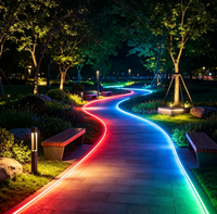 Bande néon RGBIC en cuivre sans points noirs, haute luminosité, 1010 1616 2020 IP67, éclairage architectural pour signalisation commerciale