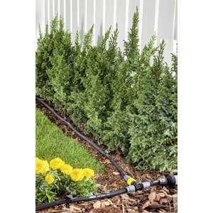 KAERCHER-2.645-231,0 T-Conector con regulación de flujo de agua-EAN 4039784919624 ACCESORIOS DE HERRAMIENTAS DE AIRE - Product Image 2