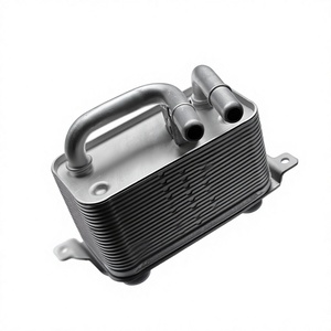 Enfriador de Aceite para BMW 525 528 530 550 650, Transmisión Automática, 17117534896, Refrigerado por Agua, E60 E61 E63 E64, 15x9x5 cm - Product Image 1