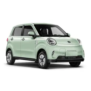 EC01 Green New Cars Fashion Mini SUV Long Mileage Range for Adults and Kids New Energy Vehicle