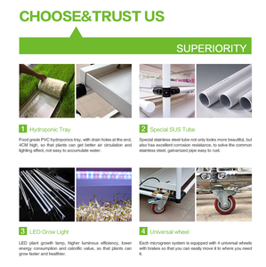 نظام الزراعة الدقيقة المائية في الدفيئة من Lyine ، نظام الزراعة المائية ، نظام الزراعة المائية ، رف نمو رأسي ، أنظمة عمودية للزراعة المائية - Product Image 3