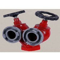 Petit hydrant d'incendie flexible SN65, armoire d'hydrant d'incendie 100 mm, 2 voies, extérieur, DN65 PN16, fonte ductile