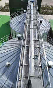 Silos de tolva de acero galvanizado de alta calidad Capacidad de 100T a 1000T disponible para la venta de cebada de soja de maíz de trigo - Product Image 2