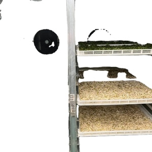 Best <b>Price</b> Food Processing Tray Dryer Water Dehydrator Trays Fruit Drying Machine with Gear & PLC - Product Image 6
