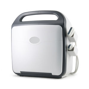 Mesin pemindai <span class=keywords><strong>Ultrasound</strong></span> medis dokter hewan, mesin <span class=keywords><strong>Ultrasound</strong></span> Doppler warna layar 15 "dengan 2 Probe - Product Image 4