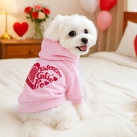 Vêtements et accessoires pour animaux de compagnie : Sweats à capuche pour chats et chiens, Chemises rayées en polyester pour animaux de compagnie, Costumes pour chiots, Tenues pour animaux de compagnie – Collection Automne-Printemps – Vente en gros