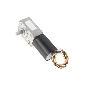 5840-3650 DC Brushless Deceleration Motor Low Speed High Torque Worm Gear Speed Micro Motor - Product Image 1