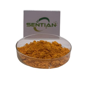 Directo de fábrica Curcumina Extracto de cúrcuma 95 Curcumina en polvo 100% Curcumina natural - Product Image 3