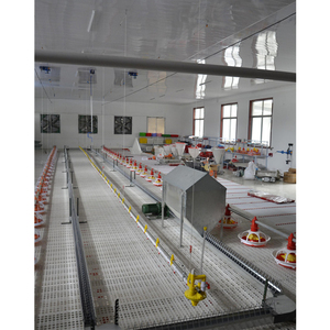 Tự Động Feeder Gia Cầm Chuỗi Hệ Thống Cho Ăn Thịt - Product Image 2