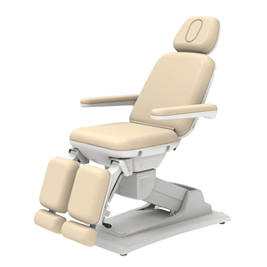 Sonora-220 Elektrische Kosmetikliege mit Hubfunktion für Salon & Spa, 2 Motoren, Wimpern- und Gesichtsbehandlungsstuhl, Therapieliege für Kosmetiker & Massagen - Product Image 1