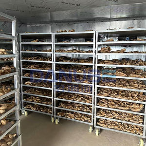 Secadora de Frutas y Verduras, Secadora de Jengibre, Secadora de Cardamomo y Chile - Product Image 5