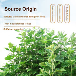 Artemisia Pura Cinese - Artemisia Verde per Moxibustione 500g - Product Image 3