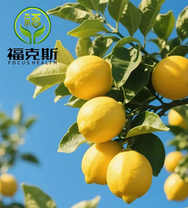 100% 天然有機水溶性レモンフルーツパウダーEU & NOP認定インスタントレモンジュースパウダー野生の皮をむいた苦味 - Product Image 3