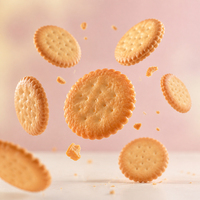 Vente en gros de biscuits japonais au sel marin croustillants et sains de haute qualité 502G, forme de craquelins, goût salé, sac cadeau pour les fêtes