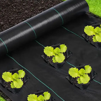 Toile de paillage noire tissée Chaq, robuste, stabilisée aux UV, pour aménagement paysager, ferme, jardin et serre