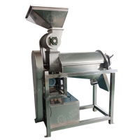 Extracteur de jus industriel à froid 0,5T pour fruits durs, agrumes, pommes, citrons et gingembre