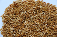 Alimentation pour Tortues et Poissons : Gammarus et Crevettes Séchés au Soleil 100% Naturels, Jaune 0,5-1cm, pour la Santé de la Peau et du Pelage - Vente en Gros Fabricants
