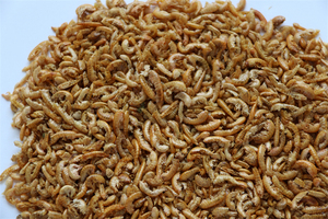 Alimentation pour Tortues et Poissons : <span class=keywords><strong>Gammarus</strong></span> et Crevettes Séchés au Soleil 100% Naturels, Jaune 0,5-1cm, pour la Santé de la Peau et du Pelage - Vente en Gros Fabricants - Product Image 4