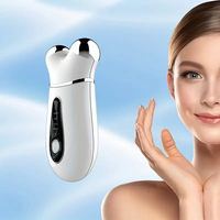 Appareil facial à microcourant professionnel Anti-âge de la peau serrant le masseur facial Micro rouleau de visage actuel