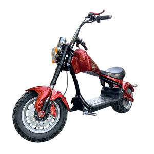 Oem Odm Grote Power Hond Elektrische Scooter Elektrische Opvouwbare Dubbele Mini Ouder-kind Huisdier Elektrische Scooter - Product Image 1