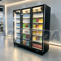 Réfrigérateur commercial Coca-Cola avec éclairage LED, vitrine réfrigérée pour boissons, réfrigérateur à vin en acier inoxydable pour bar à bière