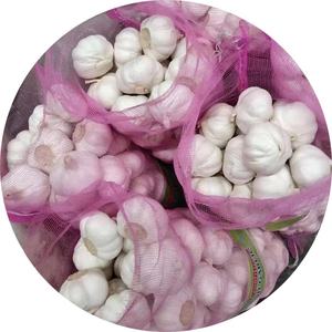 Ail frais blanc pur, bon marché, blanc neige, origine chinoise, ail Super blanc, vente en gros pour l'exportation - Product Image 1