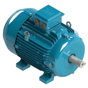 มอเตอร์แรงดันต่ำสามเฟสประสิทธิภาพสูง WEG รุ่น W20 ซีรีส์ - Product Image 3