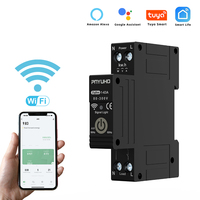 Mini interrupteur intelligent 1P 63A Zigbee télécommande disjoncteur de récupération Alexa Google Home Compatible pour Smart Home Rail DIN