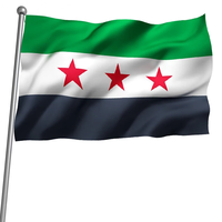 Vente en gros 90X150cm suspendu polyester nation pays liberté libre syrie drapeau syrien de la syrie pour le vert