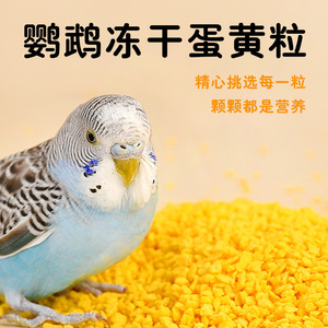Gránulos de Yema de Huevo Liofilizada, Alimento para Aves, para Loros, Periquitos, Cacatúas, Recompensas de Entrenamiento, Suministros para la Cría, 260 ml - Product Image 5